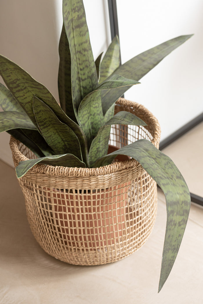 ef48a201-7bea-4aed-8085-e36e86624b77-sfeerbeeld.jpg (9234135)