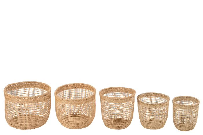 ef48a201-7bea-4aed-8085-e36e86624b77-afbeelding3.jpg (9234149)