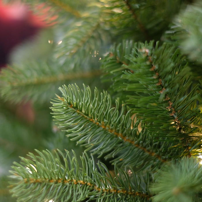 Bayberry kunstkerstboom - 274 cm - groen - Ø 180 cm - 3.185 tips