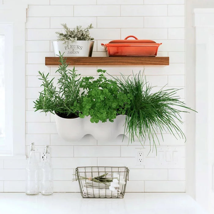 QUVIO Wand bloempot-trio plastic - Terracotta