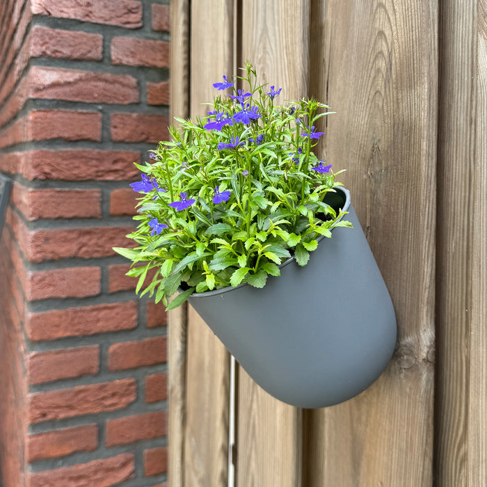 QUVIO Wand bloempot- Kunststof - Antraciet