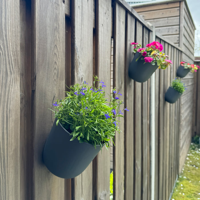 QUVIO Wand bloempot- Kunststof - Antraciet