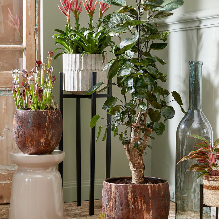 Mica Decorations Rioja Glazen Fles - H75 x Ø18 cm - Donkergrijs