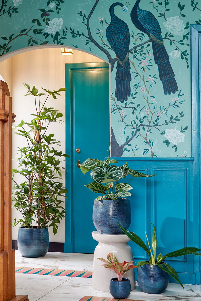 ce8a6d07-0def-46b2-9118-82d5f368c27b-afbeelding8.jpg (9334594)