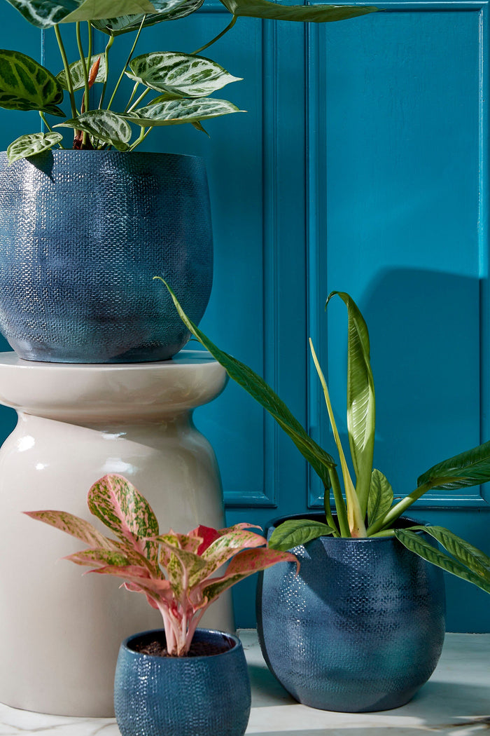 ce8a6d07-0def-46b2-9118-82d5f368c27b-afbeelding9.jpg (9334595)