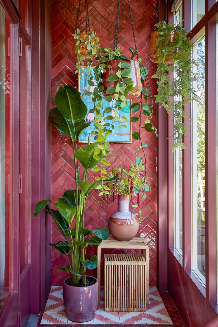 becc0da9-d2dd-4b4c-a569-18456644be17-afbeelding8.jpg (9334598)