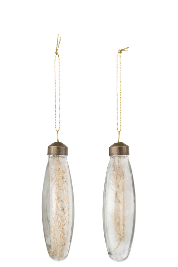 J-Line kerstbal Gedroogde Pampas - glas - transparant - medi