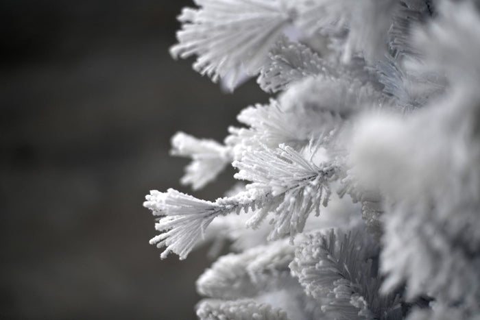 Teddy White flocked hinged kunstkerstboom - 210 cm - Wit - Ø107 cm -