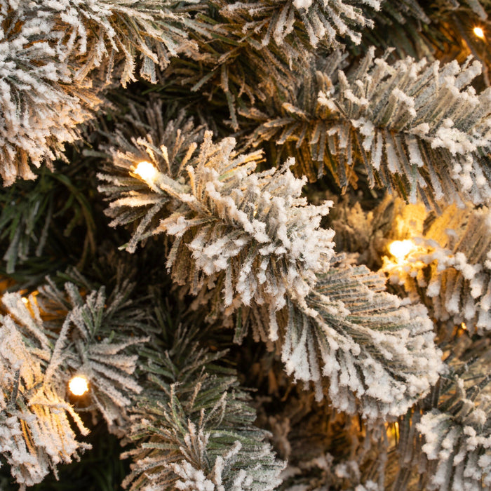 Black Box Trees Charlton Kunstkerstboom met Verlichting - H260