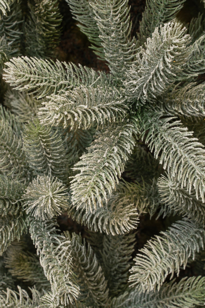 Black Box Trees Nagoya Kunstkerstboom - H240 x Ø138 cm - Groen Frosted