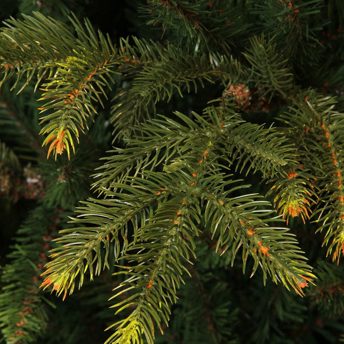 Black Box Trees Frasier Kunstkerstboom - H155 x Ø109 cm - Groen