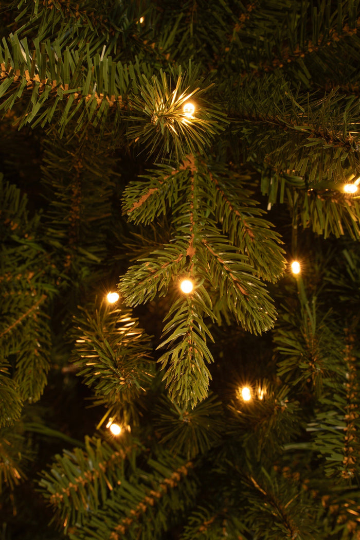 Black Box Trees Harma Kunstkerstboom met Verlichting - H260 x Ø73 cm