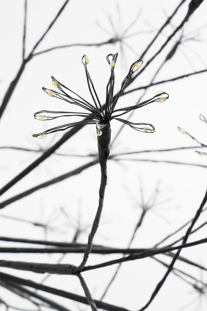 Luca Lighting Kerstverlichting Bal met Lampjes - Ø50 cm - Zwart