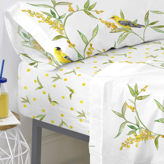 Happy Friday Hoeslaken Corniglia