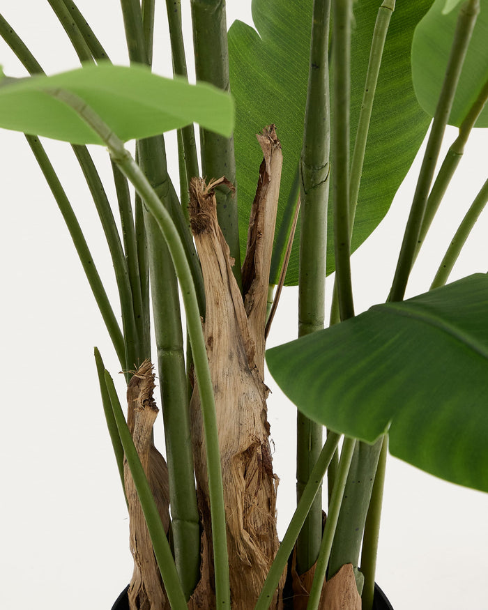 Kave Home - Kunstboom Musa (banaan) met zwarte pot 210 cm