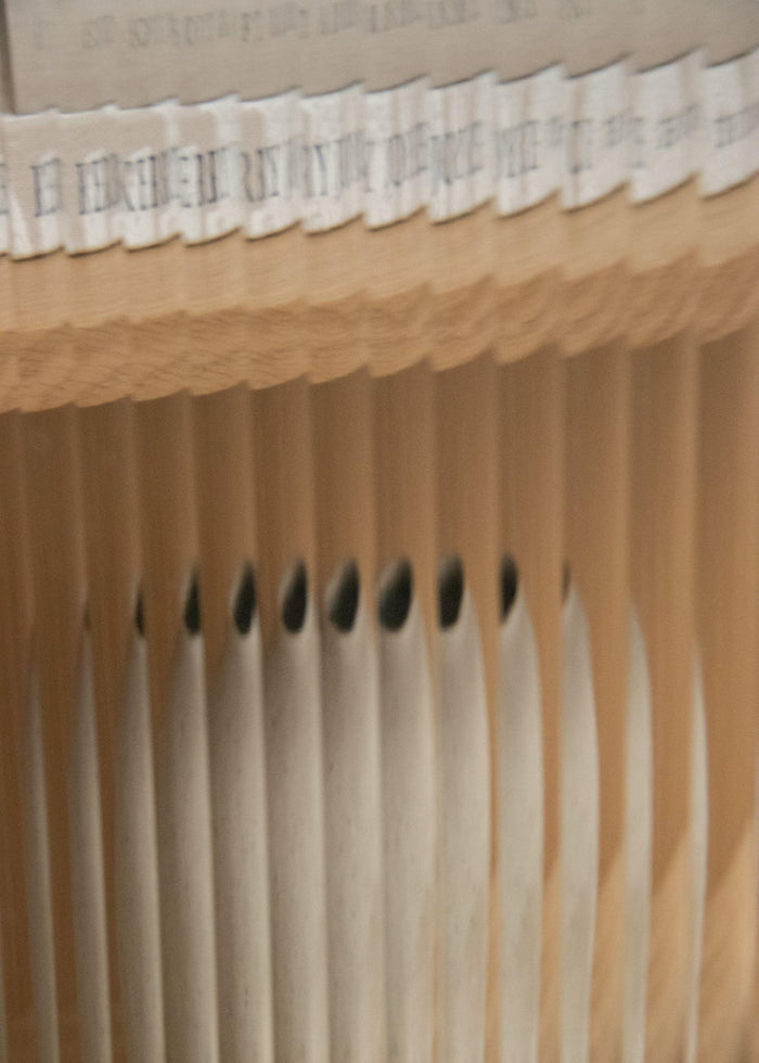 bc5d49f9-2d0a-477b-b8df-82666891de6a-afbeelding6.jpg (9588111)