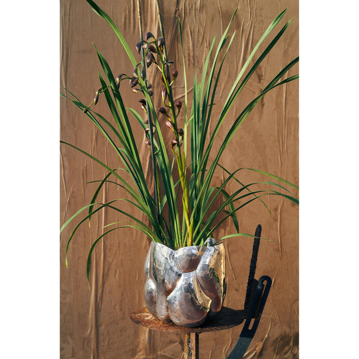 434a3ab7-db69-4799-b825-13d66fb42bbe-afbeelding10.jpg (9590138)