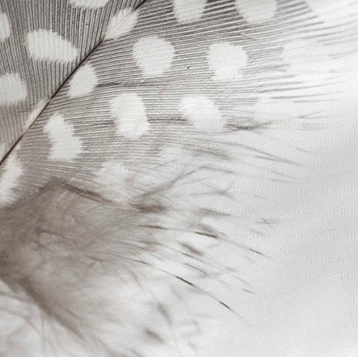 Happy Friday Set van 2 kussenslopen Light