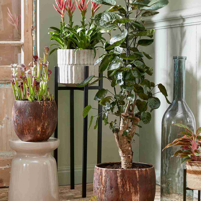 Mica Decorations Rioja Glazen Fles - H75 x Ø18 cm - Donkergrijs