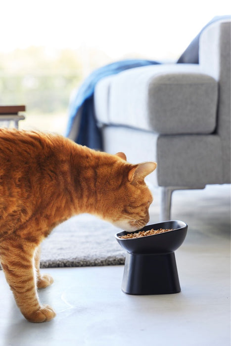 Yamazaki Voerbak Kat | Hond - Schuin - Keramisch - Tower - Zwart