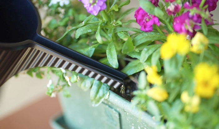 Hachiman Garden Beetle Gieter - 1.5l - Zwart