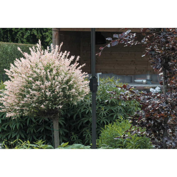 Lotus parasol - 250x250 cm - carbon black - ecru