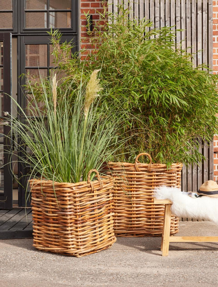 db352965-972c-434d-b907-9284ad6daf55-sfeerbeeld.jpg (9687354)