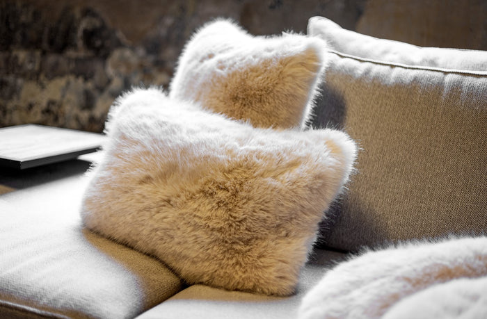 fa46ded9-82ce-42f3-ad49-b5751a71b7ee-afbeelding5.jpg (9688376)