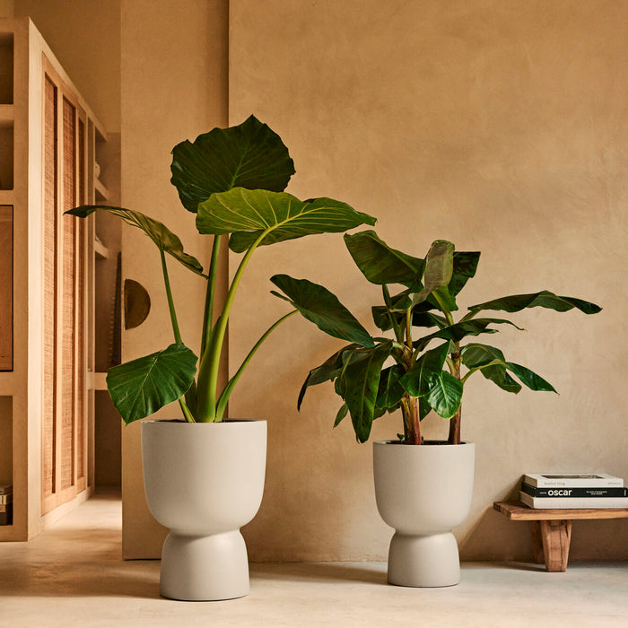 327622-x04-202412190542-A.jpg (9713813)