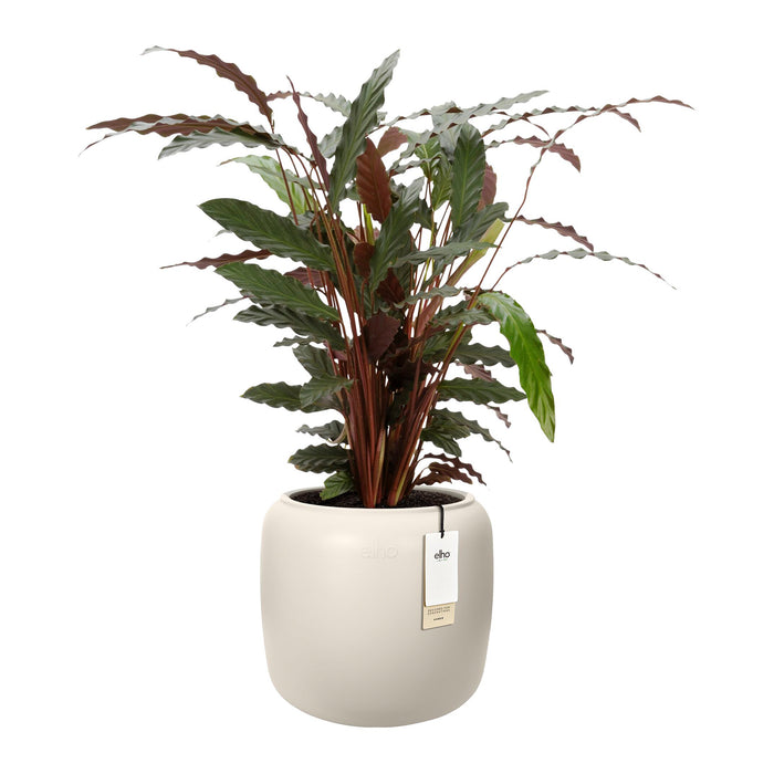 327628-x02-202412190541-C.jpg (9713835)