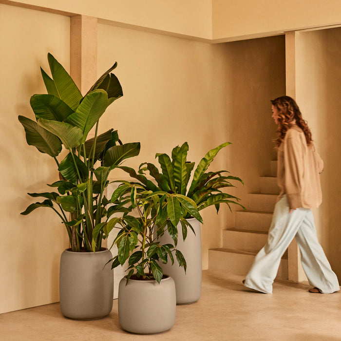 327629-x01-202412190541-A.jpg (9713836)