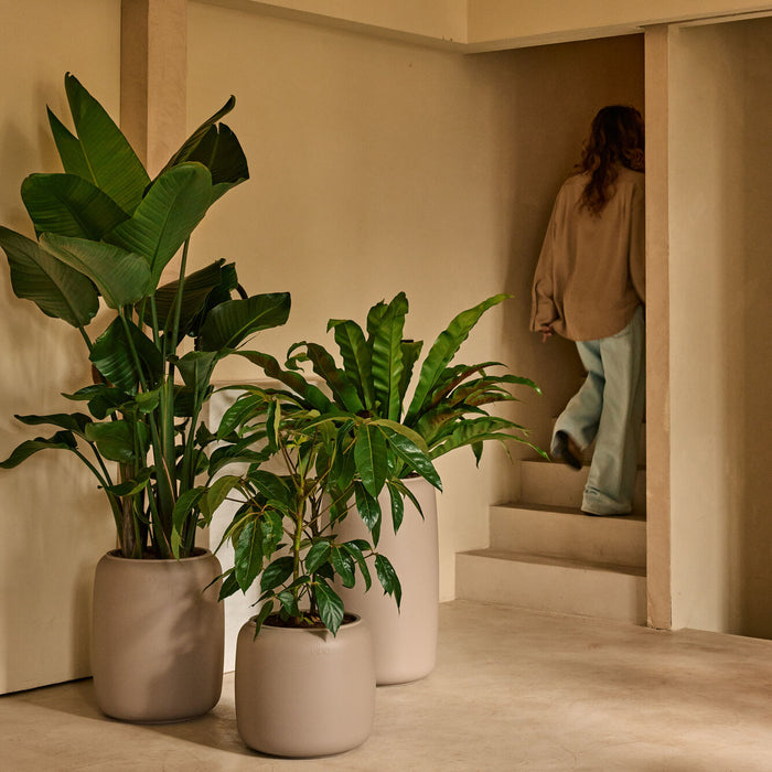 327629-x03-202412190541-A.jpg (9713838)