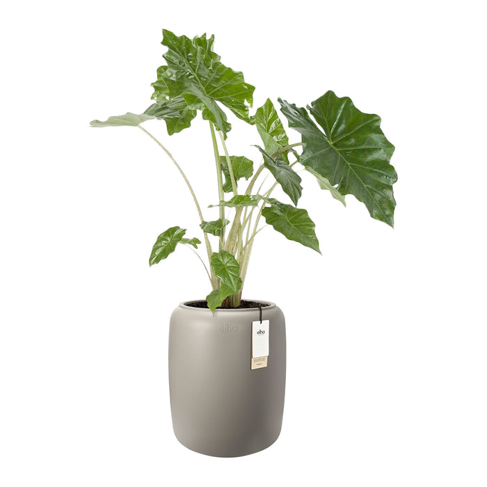 327631-x02-202412190541-C.jpg (9713843)