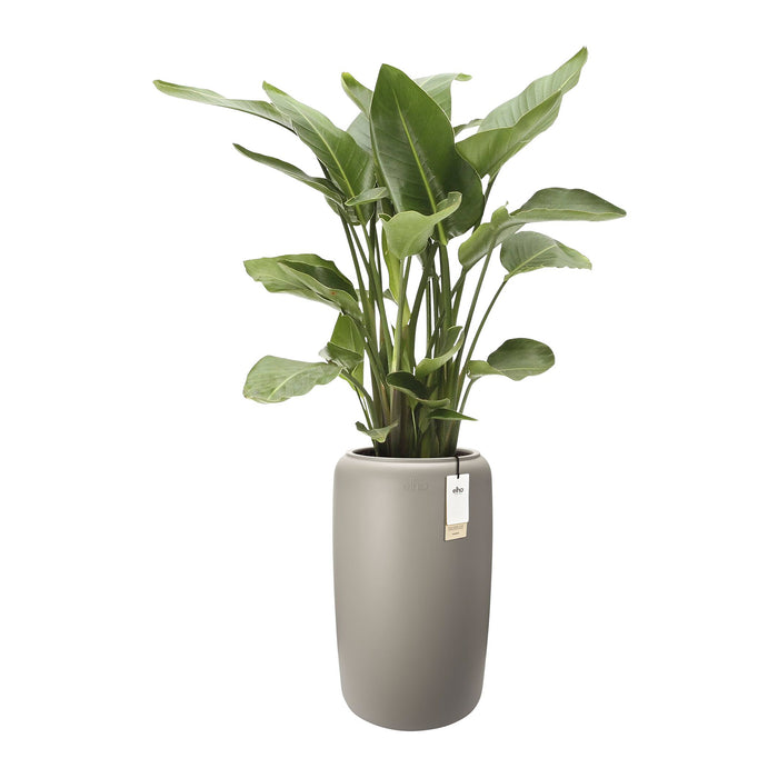 327633-x02-202412190542-C.jpg (9713848)