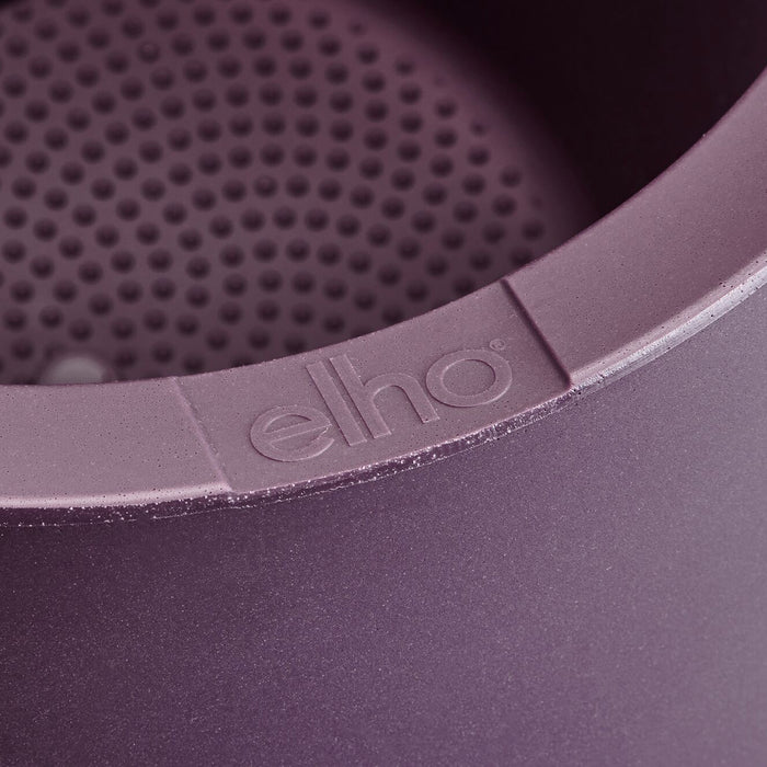 327641-x04-202412190541-C.jpg (9713882)