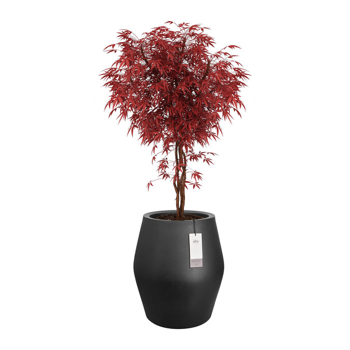 327643-x03-202412190540-C.jpg (9713891)