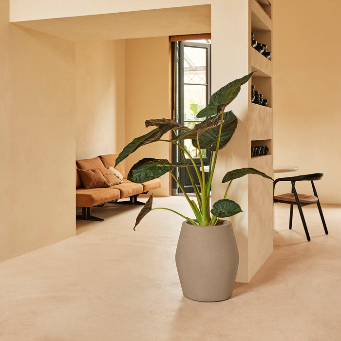 327645-x01-202412190542-A.jpg (9713899)