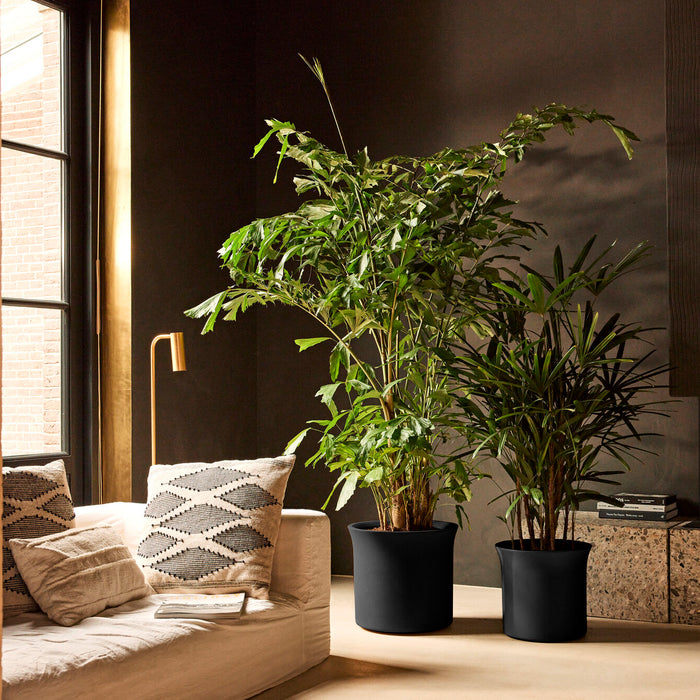 327650-x01-202412190540-A.jpg (9713915)