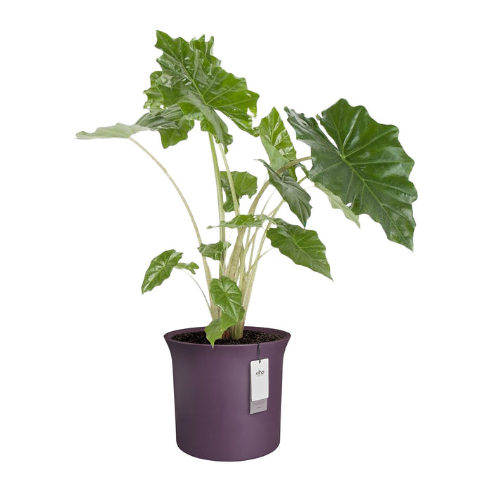 327651-x02-202412190540-C.jpg (9713919)