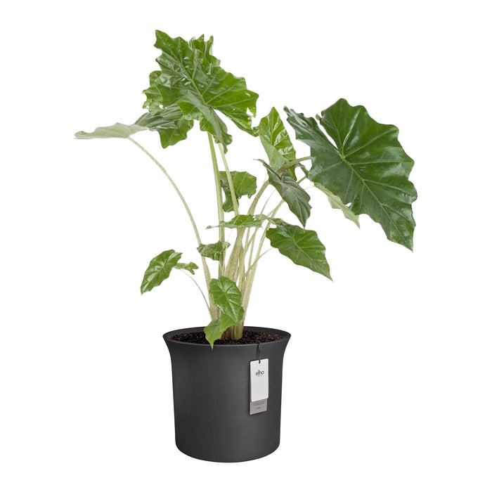 Elho June Tulip 47 - Zwart - Ø 47 x H 43 cm - Binnen en Buiten - 100% gerecycled