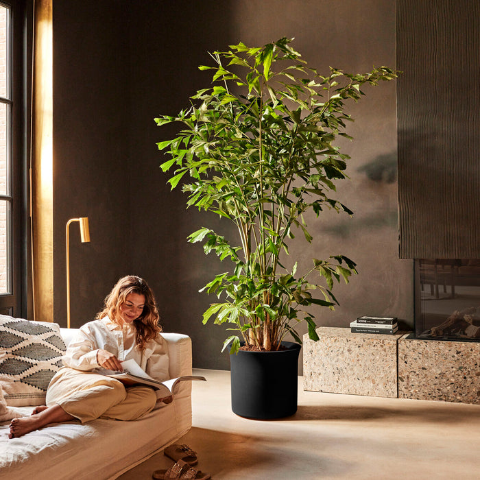 Elho June Tulip 47 - Zwart - Ø 47 x H 43 cm - Binnen en Buiten - 100% gerecycled