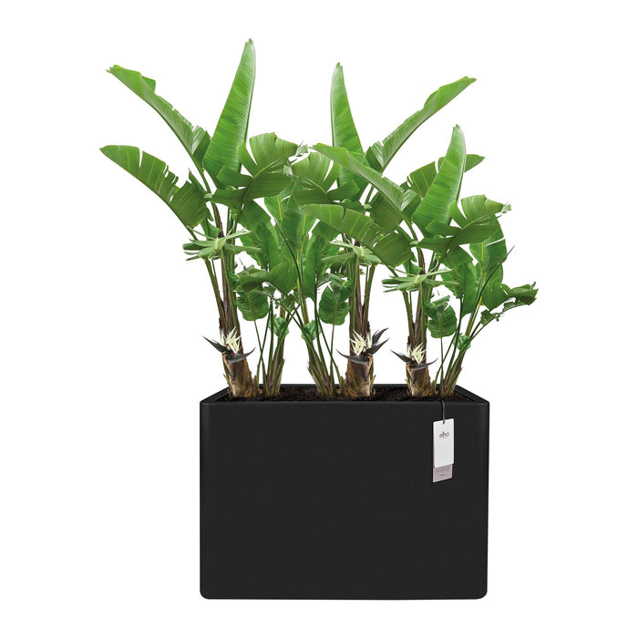 327656-x02-202412190541-C.jpg (9713941)