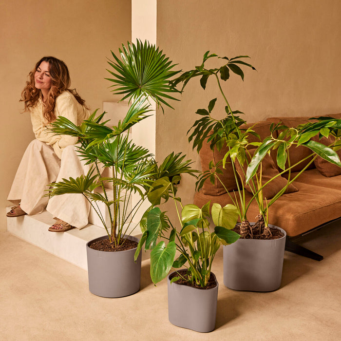 327658-x01-202412190541-A.jpg (9713949)