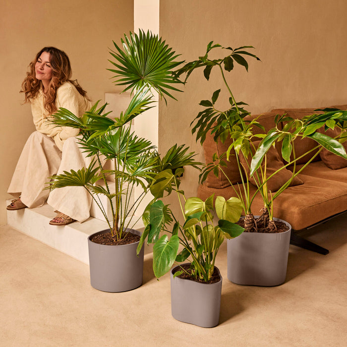 327660-x01-202412190540-A.jpg (9713957)