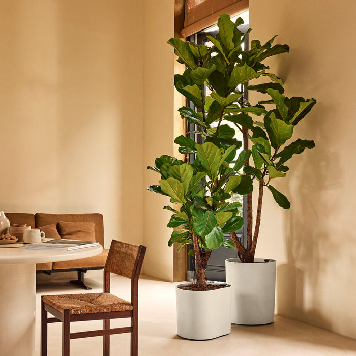 327666-x01-202412190541-A.jpg (9713979)