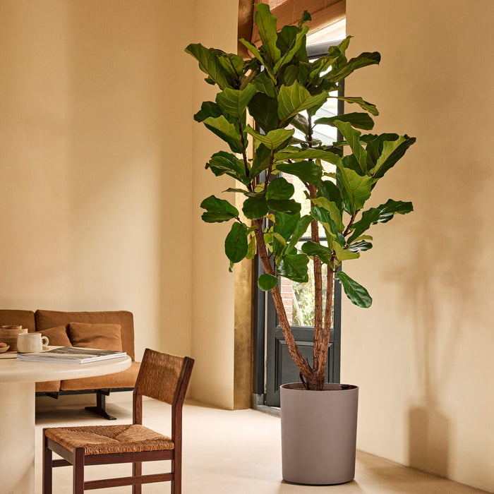 327669-x01-202412190541-A.jpg (9713993)