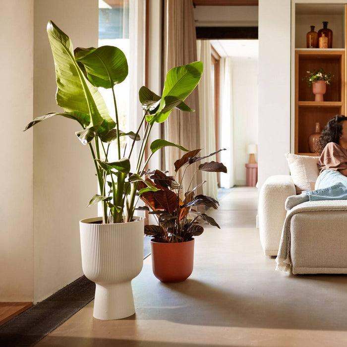 Elho Vibes Fold Coupe 30 - Wit - L 30 x B x H 45 cm - Binnen - 100% gerecycled