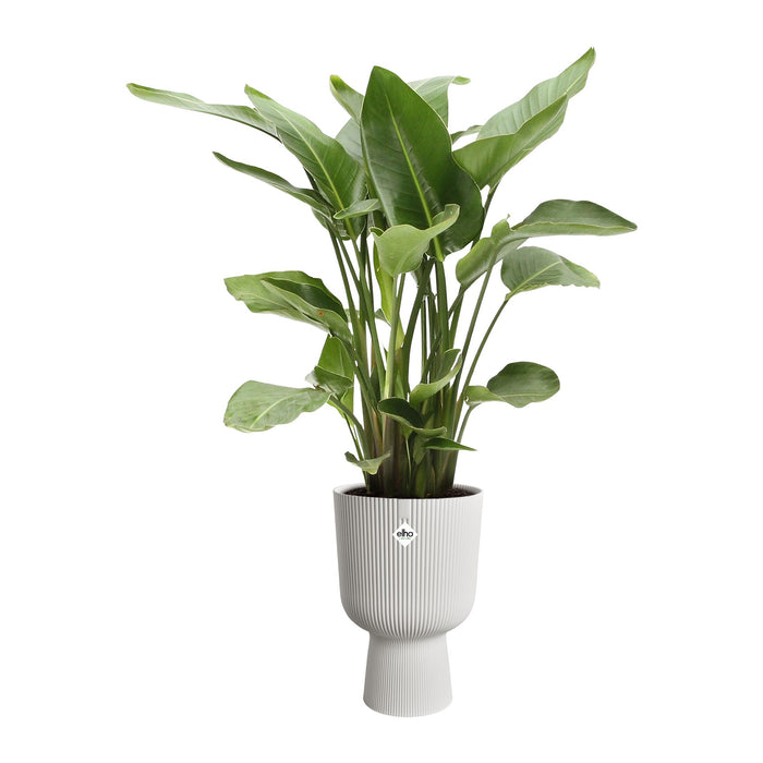 Elho Vibes Fold Coupe 30 - Wit - L 30 x B x H 45 cm - Binnen - 100% gerecycled