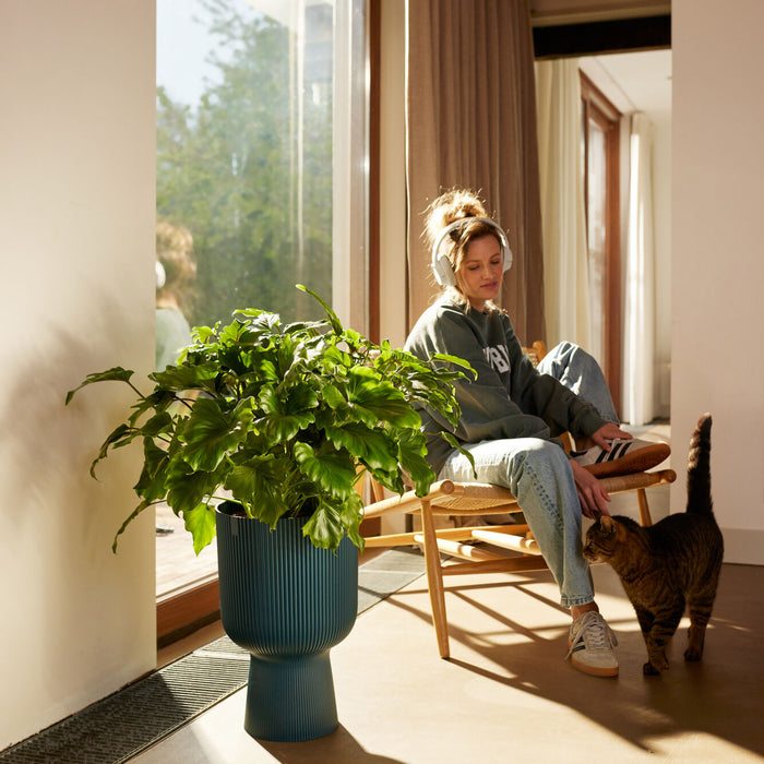 327567-x02-202412260522-A.jpg (9746872)