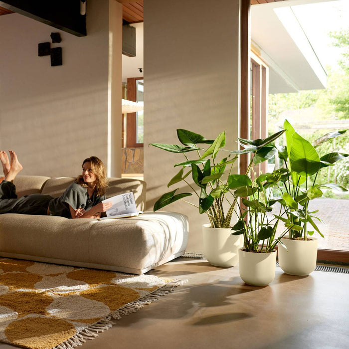 327569-x02-202412260522-A.jpg (9746879)